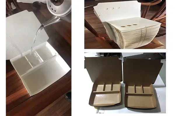 Fully Automatic Multi Compartment Paper Lunch Box Machine